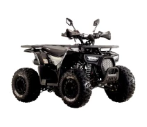 Придбати - электроквадроцикл  Квадроцикл SP125-9