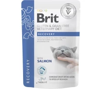 Придбати - корм для кота  Корм вологий Brit GF VD Recovery для кішок з лососем 85 г (8595602566693)