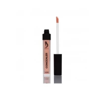 Придбати - коректор, консилер для обличчя  Консилер 6 мл Salmon Kodi Professional Concealer