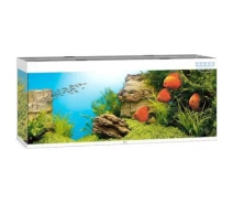 Придбати - аквариум  Акваріум Juwel Rio 450 LED 151x66x51 см 450 л (білий) (4022573054507)