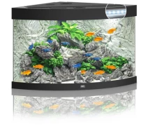 Придбати - аквариум  Акваріум Juwel Trigon 190 LED 99x60x70 см 190 л кутовий (чорний) (4022573163506)