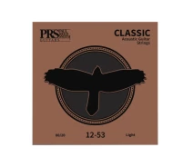 Придбати - струны для гитар  Струни для гітари PRS Classic Acoustic Strings Light 12-53 (100148024002005) (815456-01)