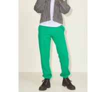 Придбати - жіночі штани  Штани JXALBERTE REL EVERY PANTS NOOS 12200298-Jolly Green JJXX XS Зелений