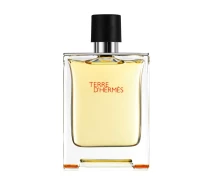 Придбати - мужскую парфюмерию  Hermes Terre D`Hermes (чоловічі) туалетна вода 100 мл
