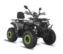 Придбати - мотоцикл  Квадроцикл FORTE ATV-200G Зелено-сірий (133190)