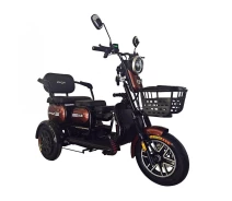 Придбати - електроскутери  Електротрайк FADA OLDi MAX 1100W Коричневий (2511922946)