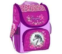 Придбати - рюкзак  Рюкзак каркасний, | (WL-865)