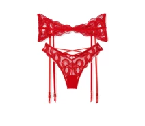 Придбати - жіночу еротичну білизну  Мереживний комплект Victoria's Secret пояс для панчохи та трусики бразилії 1159824894 (Червоний L) (art308474)