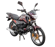 Придбати - мотоцикл  Мотоцикл Spark SP125C-2CDN (заводська упаковка) (Бордо)