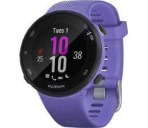 Придбати - смарт-годинник  Смарт-годинник Garmin Forerunner 45s Iris (010-02156-11/010-02156-01)
