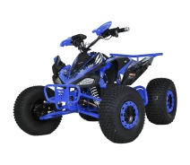 Придбати - электроквадроцикл  Електроквадроцикл Profi HB-EATV1000B-4 (MP3) Blue [130970]