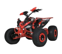 Придбати - электроквадроцикл  Електроквадроцикл Profi HB-EATV1000B-3 (MP3) Red [130969]