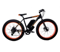 Придбати - електровелосипед  Електровелосипед Fatbike Wendat 48v 24Ah 1000W з гідравлічними гальмами чорно-оранжевий (EVFWCO)