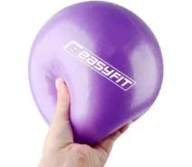 Придбати - фітбол  М'яч для пілатесу, фітнесу та йоги EasyFit EF-1221 25 см Фіолетовий