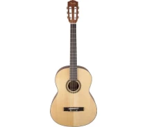 Придбати - классическую гитару  Класична гітара Fender FC 100
