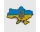 Придбати - брошку біжутерію  Брошка Карта України та Герб Різнокольоровий (282)