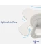 Фото № 3 Пустушка силіконова Difrax Dental 6+ міс, Honey (800 Honey)