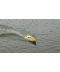Фото № 7 Катер на радіокеруванні Fei Lun FT007 Racing Boat (жовтий) (FL-FT007y)