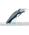 Фото № 16 Пилосос Bosch Wet&dry BWD421POW