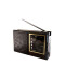 Фото № 1 Радиоприемник колонка MP3 Golon RX-9922UAR
