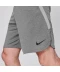 Фото № 5 Шорти Nike Dry Training Grey XL