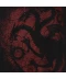Фото № 3 Футболка Character Character Game of Thrones Targaryen Spray XL