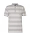 Фото № 1 Поло Everlast Stripe Grey L