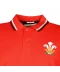 Фото № 3 Поло Rugby World Cup 2019 Core Wales XXL