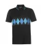 Фото № 1 Поло Pierre Cardin Sports Poly Argyle Black M