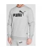 Фото № 3 Худі Puma No1 Crew Sweater Grey XXL