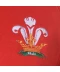 Фото № 3 Худі Rugby World Cup World Cup 2019 Zip Wales M