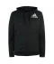 Фото № 1 Худі adidas ID BOS Legend Earth L