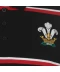 Фото № 3 Поло Rugby World Cup 2019 Stripe Wales XL