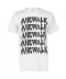 Фото № 1 Футболка Airwalk Drip Logo White XL