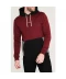 Фото № 2 Худі Volcom Volcom Fleece Forzee L
