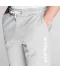 Фото № 4 Спортивні штани Airwalk Class Jogger Sn01 Grey L