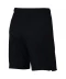 Фото № 3 Шорти Nike Dry Black XL