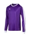Фото № 1 Лонгслів Puma LIGA GK JERSEY M