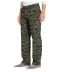 Фото № 2 Чінос Globe Chunk Pants Tiger Camo 32W 32L