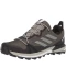 Фото № 2 Кросівки Adidas Terrex Skychaser LT GTX & amp; Trace Cargo/Sesame/Black 41.3
