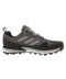 Фото № 7 Кросівки Adidas Terrex Skychaser LT GTX & amp; Trace Cargo/Sesame/Black 41.3