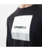 Фото № 5 Толстовка O'Neill LM TRANS SWEATSHIRT XL