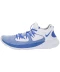 Фото № 5 Кросівки Nike Flex 2019 RN Racer Blue/Racer Blue/White 40