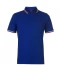 Фото № 1 Поло Pierre Cardin Tipped Royal S