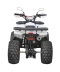 Фото № 8 Квадроцикл Spark SP125-7 (заводська упаковка) (Білий)