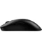 Фото № 5 Мишка Zowie FK2DW USB/Wireless Black (9H.N4MBE.A2E)