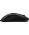 Фото № 6 Мишка Zowie FK2DW USB/Wireless Black (9H.N4MBE.A2E)