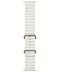 Фото № 4 Смарт-годинник Apple Watch Ultra 2 GPS + Cellular, 49mm Titanium Case with White Ocean Band (MREJ3UL/A)