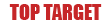 Продавец Top Targe