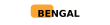 Продавец Bengal